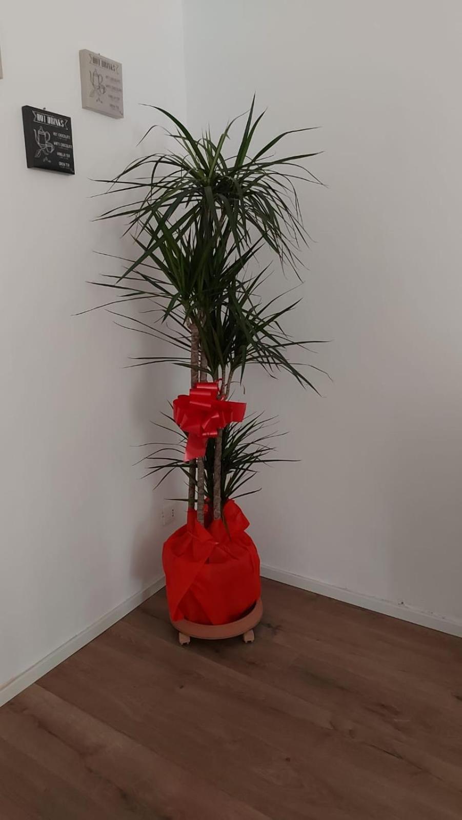 A Casa Di Elena Apartment Palermo Ngoại thất bức ảnh